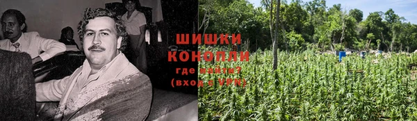 ПСИЛОЦИБИНОВЫЕ ГРИБЫ Арсеньев